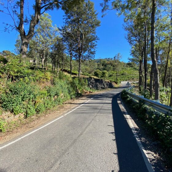 Aerial view of Kotagiri tea estates and hills, Nilgiris, Tamil Nadu, on a clear day