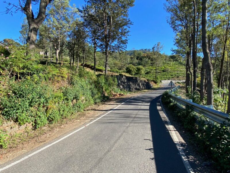 Aerial view of Kotagiri tea estates and hills, Nilgiris, Tamil Nadu, on a clear day